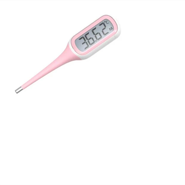 Oral Thermometer factory