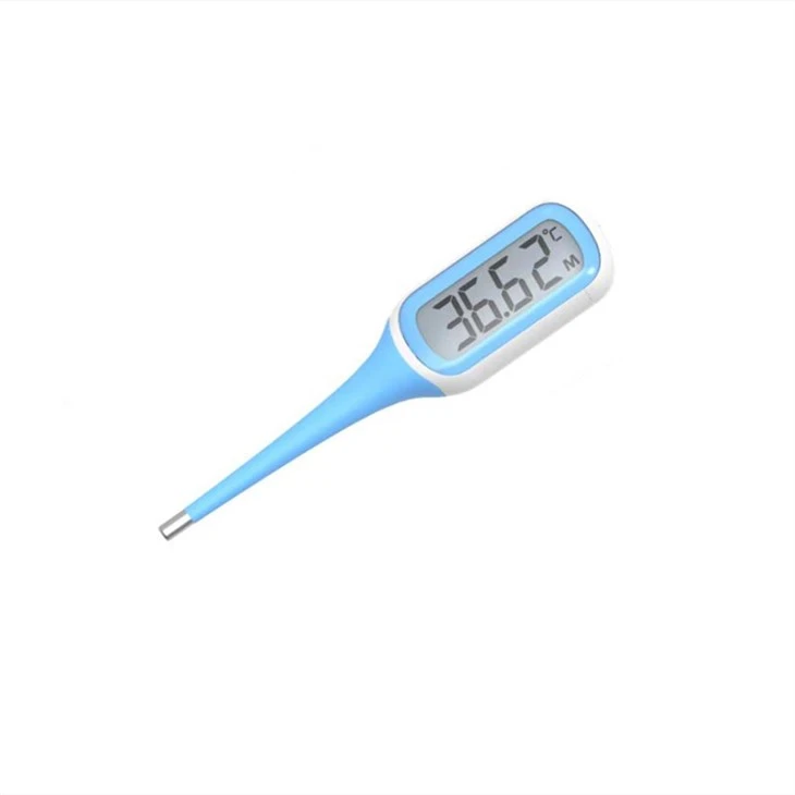 Oral Thermometer price