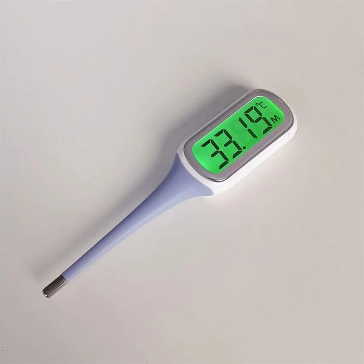 Oral Thermometer best